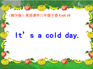 湘少版英語三下Unit10 It’s a cold dayPPT課件