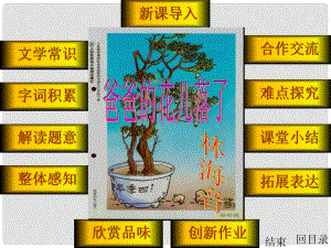 內(nèi)蒙古烏蘭浩特市第十二中學(xué)七年級語文下冊《第2課 爸爸的花兒落了》課件 新人教版