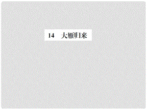 八年級(jí)語(yǔ)文下冊(cè) 第3單元 14《大雁歸來(lái)》練習(xí)課件 新人教版