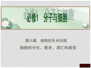 安徽省太和八中高中生物 細胞的分化 衰老 凋亡和癌變課件