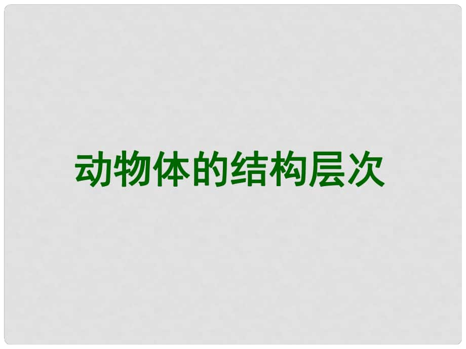 山東省平度市蓼蘭鎮(zhèn)何家店中學(xué)七年級(jí)生物上冊(cè) 4.2 動(dòng)物體的結(jié)構(gòu)層次課件 （新版）新人教版_第1頁(yè)