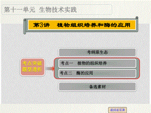 高考生物一輪復(fù)習(xí) 第十一單元 第3講 植物組織培養(yǎng)和酶的應(yīng)用課件