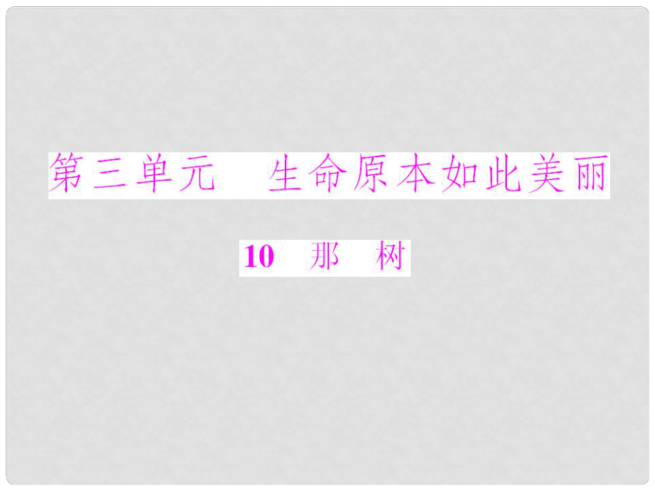 九年級(jí)語(yǔ)文下冊(cè) 第三單元第10課 那樹(shù)配套課件 冀教版_第1頁(yè)