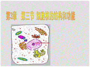 山西省懷仁縣巨子學校高中部高中地理 第三章第三節(jié) 細胞的結(jié)構(gòu)和功能課件 新人教版必修1