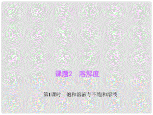 九年級化學(xué)下冊 第9單元 課題2 第1課時 飽和溶液與不飽和溶液習(xí)題課件 新人教版