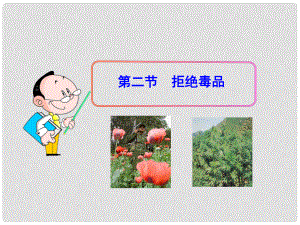 八年級(jí)生物下冊(cè) 第二十六章 第2節(jié)《拒絕毒品》課件 （新版）蘇教版