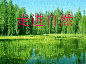 陜西省安康市寧陜縣城關(guān)初級(jí)中學(xué)七年級(jí)語(yǔ)文上冊(cè) 第3單元 綜合性學(xué)習(xí)《感受自然》課件 （新版）新人教版