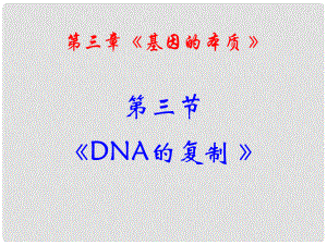 高中生物 第三章 第3節(jié) DNA的復(fù)制課件 新人教版必修2