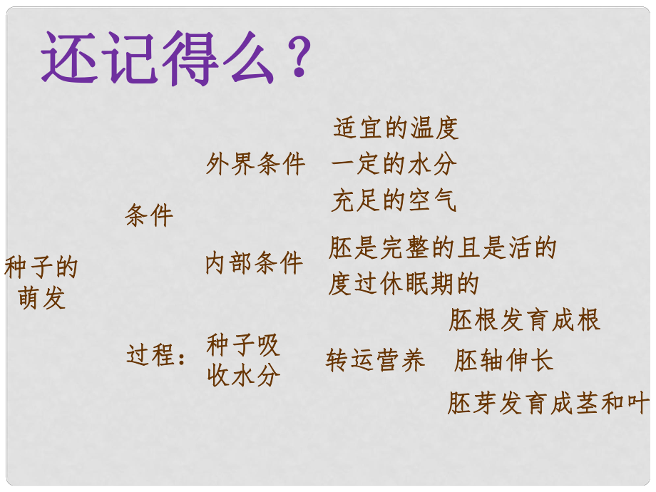 廣東省臺山市新寧中學(xué)七年級生物上冊 第三單元 第二章 第二節(jié) 植株的生長課件 新人教版_第1頁