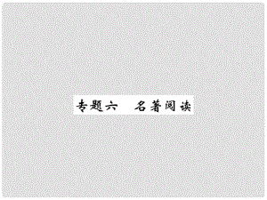 七年級語文下冊 專題六 名著閱讀復(fù)習(xí)課件 （新版）新人教版