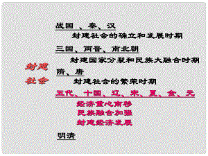 山東省肥城市桃都中學(xué)七年級歷史下冊《9 民族政權(quán)并立的時代》課件 新人教版