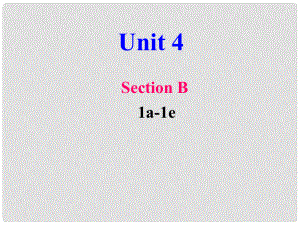 山東省郯城縣新村鄉(xiāng)中學(xué)八年級(jí)英語(yǔ)下冊(cè) Unit 4 Why don’t you talk to your parents Section B 1a1e課件 （新版）人教新目標(biāo)版