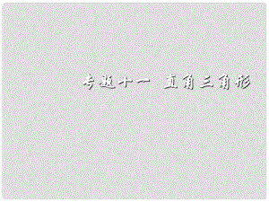 貴州省黔東南州劍河縣久仰民族中學(xué)中考數(shù)學(xué) 第二輪 特殊專題復(fù)習(xí)11 直角三角形課件 新人教版