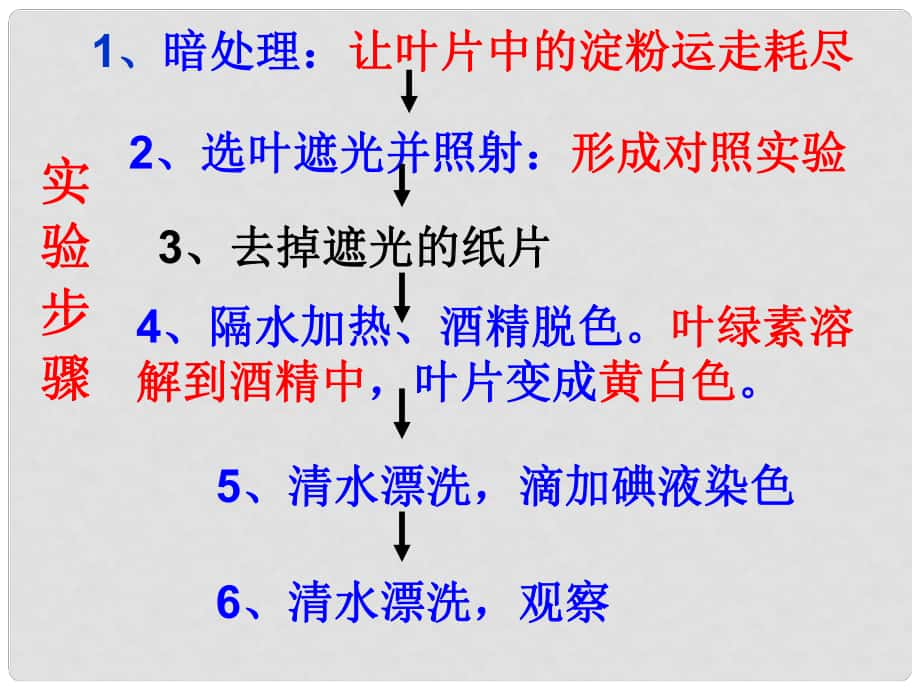 七年級生物上冊 第五章 第一節(jié) 光合作用吸收二氧化碳釋放氧氣課件 （新版）新人教版_第1頁