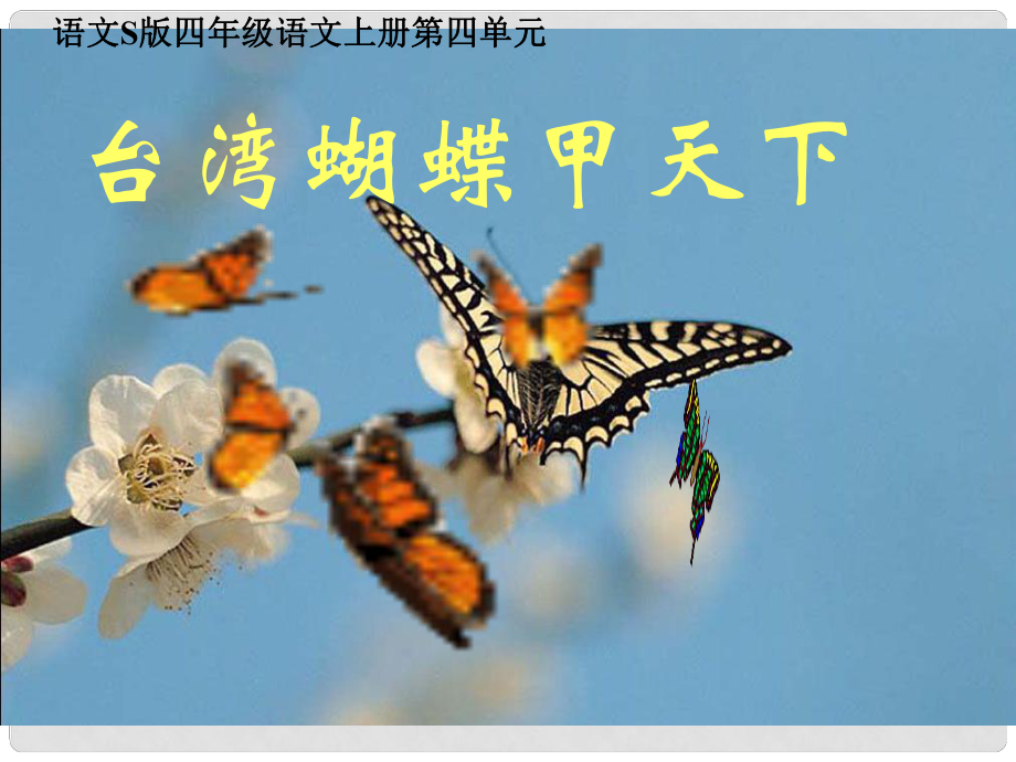 四年级语文上册 台湾蝴蝶甲天下 5课件 语文S版_第1页