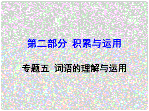 廣西中考語文 第二部分 積累與運用 專題5 詞語的理解與運用復習課件 新人教版