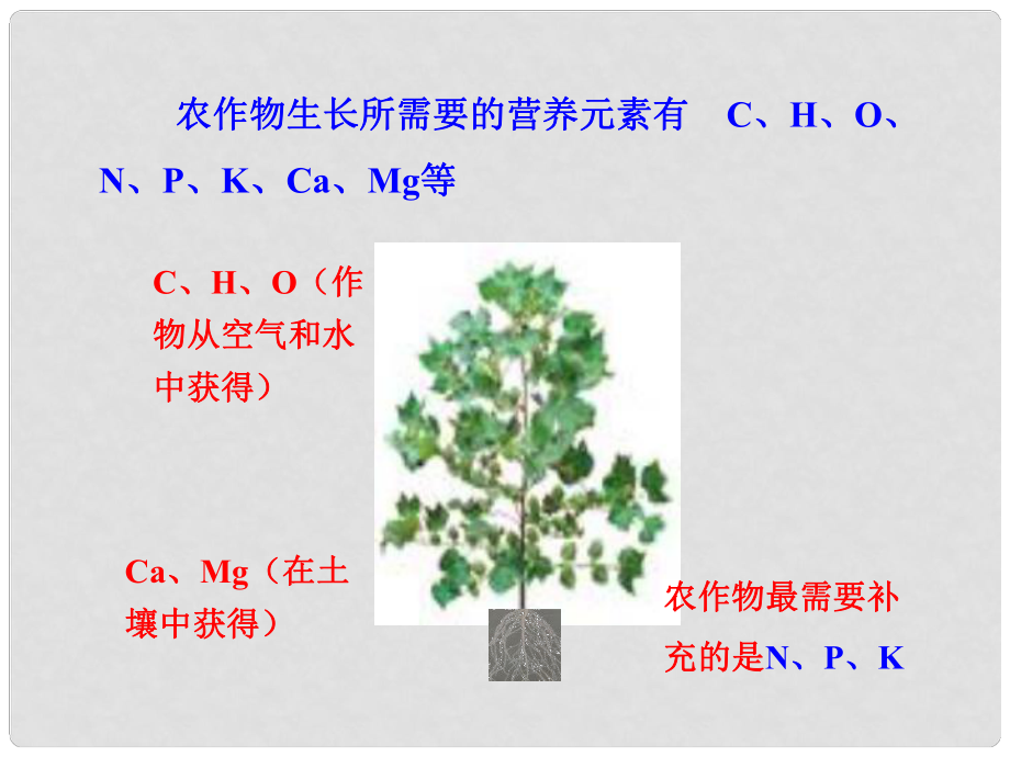 山東省高密市銀鷹文昌中學(xué)九年級(jí)化學(xué)下冊(cè) 第十一單元 課題2 化肥課件 新人教版_第1頁(yè)