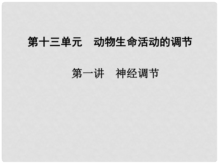 高中生物 第十三單元 第一講 神經(jīng)調(diào)節(jié)課件_第1頁(yè)