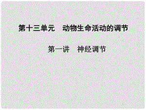 高中生物 第十三單元 第一講 神經(jīng)調(diào)節(jié)課件