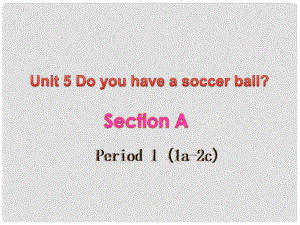 山東省鄒平縣實(shí)驗(yàn)中學(xué)七年級(jí)英語(yǔ)上冊(cè) Unit 5 Do have a soccer ball（第一課時(shí)）課件 （新版）人教新目標(biāo)版