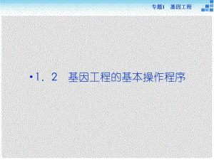 優(yōu)化方案高中生物 專題1.2 基因工程的基本操作程序課件 新人教版選修3