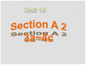 山東省滕州市滕西中學(xué)九年級英語全冊 Unit 10 You’re supposed to shake hands Section A（3a4c）課件 （新版）人教新目標(biāo)版