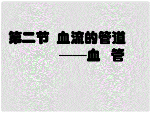 七年級(jí)生物下冊(cè) 第4章 第2節(jié) 血流的管道 血管課件 （新版）新人教版