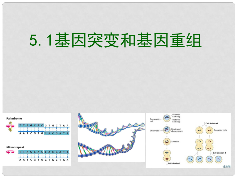 山東省淄博市淄川般陽(yáng)中學(xué)高中生物 第五章 第一節(jié) 基因突變和重組課件2 新人教版必修2_第1頁(yè)