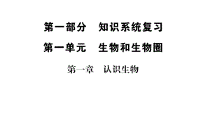 中考生物 知識系統(tǒng)復(fù)習(xí) 第一單元 生物和生物圈課件