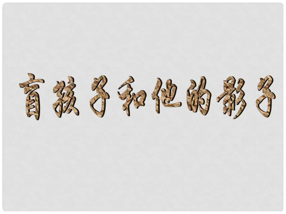 湖南省長(zhǎng)沙市望城縣喬口鎮(zhèn)喬口中學(xué)七年級(jí)語(yǔ)文上冊(cè) 第六單元 第29課 盲孩子和他的影子課件 （新版）新人教版_第1頁(yè)