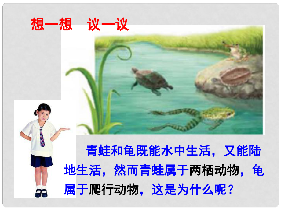 湖南省長沙市長郡芙蓉中學(xué)八年級(jí)生物上冊(cè)《第五節(jié) 兩棲動(dòng)物和爬行動(dòng)物》課件 （新版）新人教版_第1頁