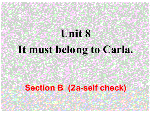 九年級(jí)英語(yǔ)全冊(cè) Unit 8 It must belong to Carla Section B（第2課時(shí)）課件 （新版）人教新目標(biāo)版