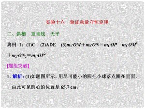 四川省昭覺中學(xué)高考物理一輪復(fù)習(xí) 實驗十六 驗證動量守恒定律習(xí)題詳解課件 新人教版