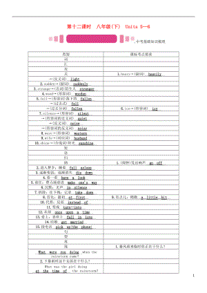 中考英語命題研究 第一部分 教材知識梳理篇 第十二課時 八下 Units 56精講試題1