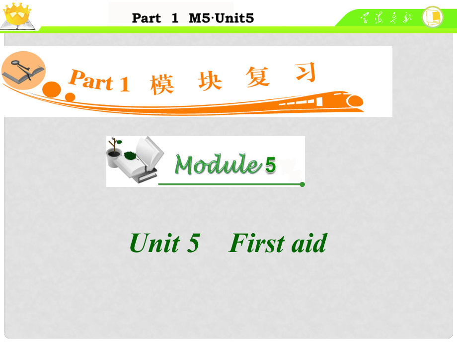 廣東省高中英語(yǔ)總復(fù)習(xí) M5 Unit 5 First aid課件_第1頁(yè)