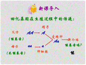 山東省泰安市新泰八年級(jí)生物下冊(cè) 第二章 第三節(jié) 基因的顯性和隱性課件 新人教版