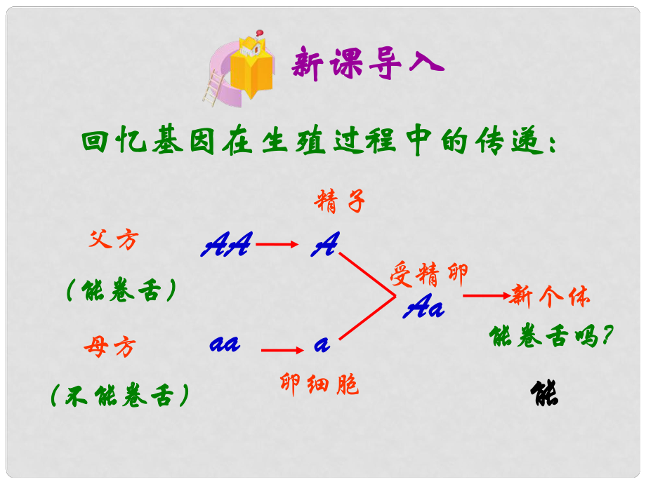 山東省泰安市新泰八年級生物下冊 第二章 第三節(jié) 基因的顯性和隱性課件 新人教版_第1頁