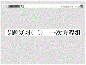 七年級數(shù)學(xué)下冊 專題復(fù)習(xí)二 一次方程組課件 （新版）華東師大版