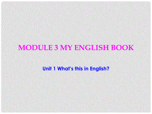 浙江省平陽縣昆陽鎮(zhèn)第二中學(xué)七年級英語上冊 Starter Module 3 Unit 1 What's this in English課件 （新版）外研版