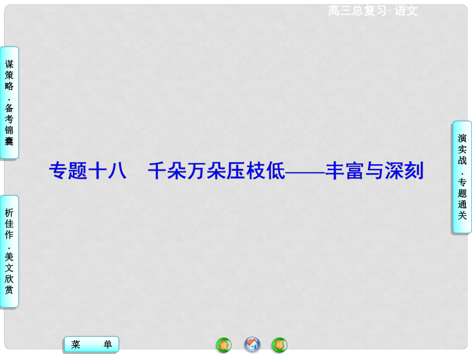 高考总动员高考语文一轮总复习 专题18 丰富与深刻课件_第1页