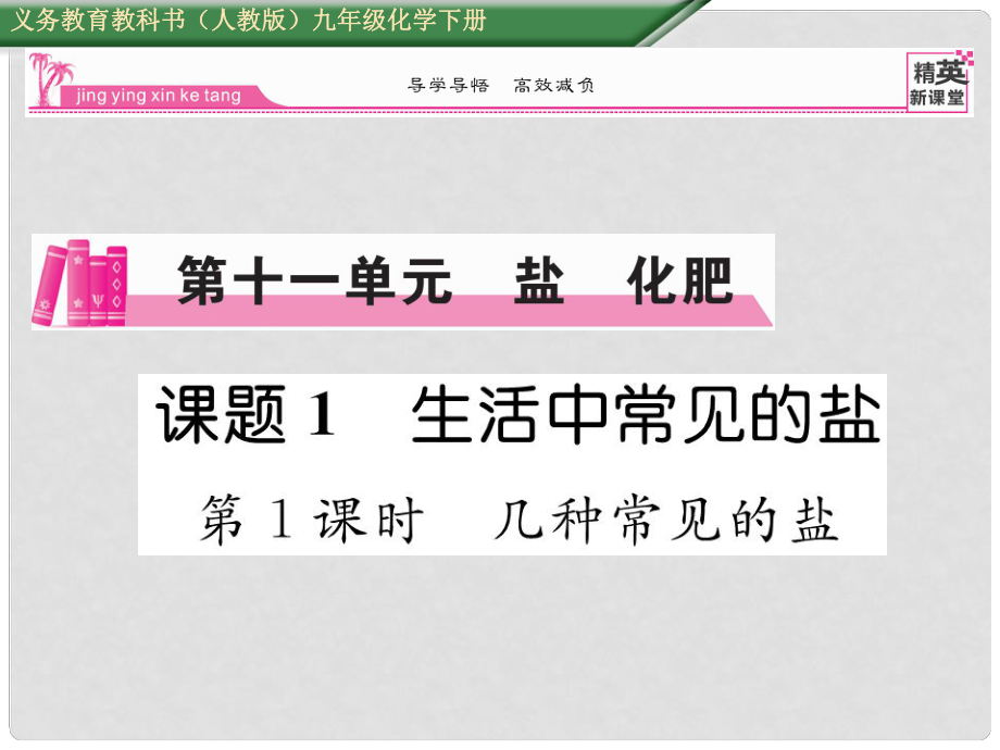 九年级化学下册 第11单元 盐 化肥 课题1 生活中常见的盐 第1课时 几种常见的盐课件 （新版）新人教版_第1页