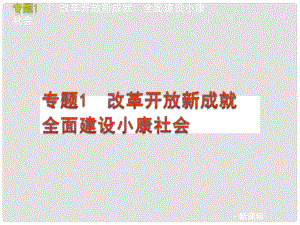 中考政治二輪復習 熱點專題1 改革開放新成就 全面建設小康社會課件 人教新課標版