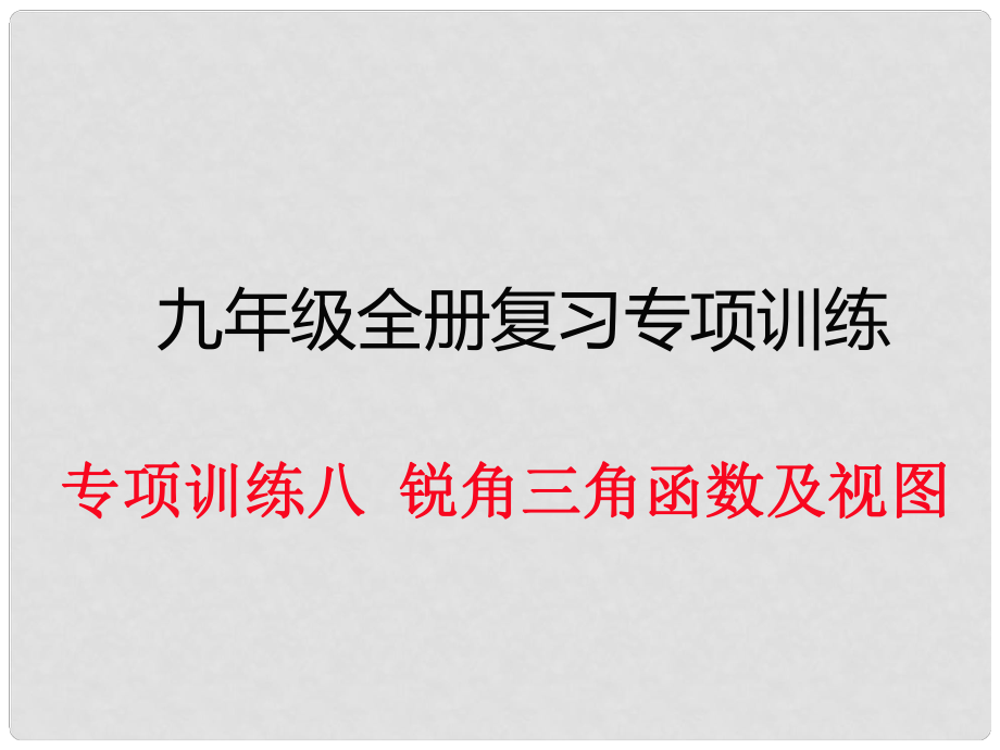 九年級數(shù)學(xué)下冊 專項訓(xùn)練八 銳角三角函數(shù)及視圖課件 新人教版_第1頁