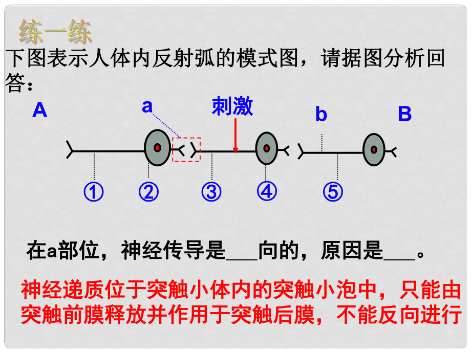 浙江省甌海區(qū)三溪中學高中生物 第二章 第2節(jié) 神經(jīng)系統(tǒng)的結(jié)構(gòu)和功能第3課時課件 浙科版必修3_第1頁