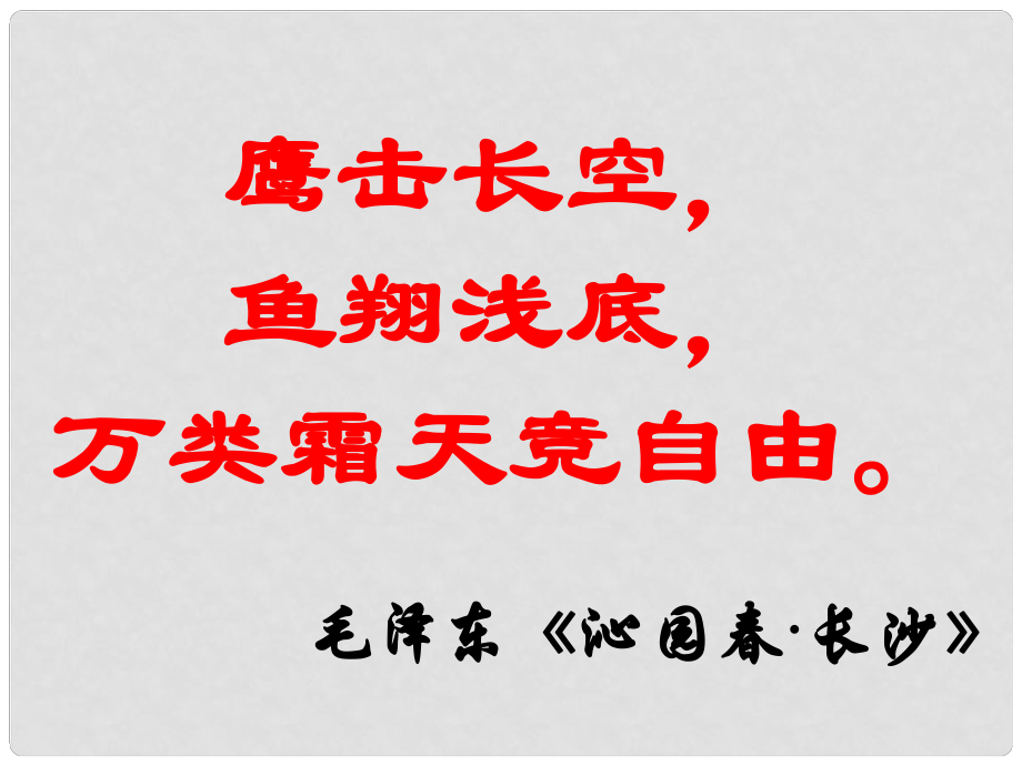 山东省淄博市博山区第六中学八年级生物上册 5.1.6 鸟课件 （新版）新人教版_第1页