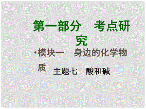 四川省中考化學(xué)總復(fù)習(xí) 主題七 酸和堿課件