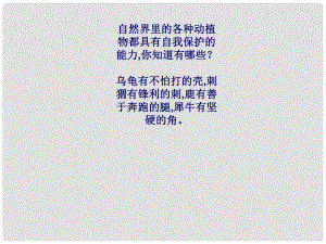 江蘇省常州市新北區(qū)實驗學校七年級政治下冊 第五單元 第22課 第1框 增強自我保護的意識和能力課件 蘇教版