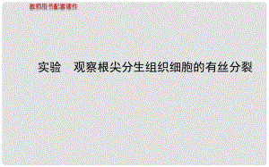 福建省高中生物 第6章 實驗觀察根尖分生組織細胞的有絲分裂課件 新人教版必修1