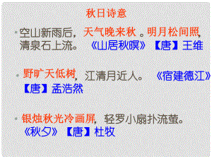 浙江省寧波市慈城中學七年級語文上冊 14 天課件 （新版）新人教版