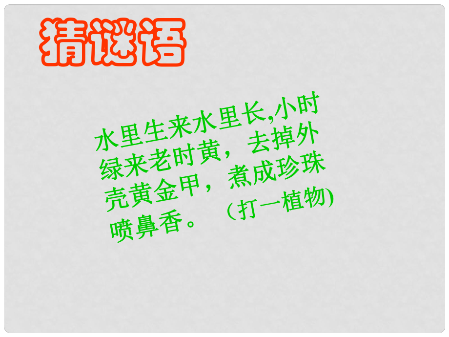 七年級歷史上冊 第一單元 第2課 星羅棋布的氏族聚落課件 北師大版_第1頁